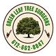 Green Leaf Tree Surgeons in Keewaydin - Minneapolis, MN Tree & Shrub Transplanting & Removal