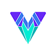 ViitorCloud Technologies in Reston, VA Information Technology Services