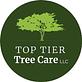 Top Tier Tree Care in Jefferson, OR Tree & Shrub Transplanting & Removal