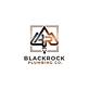 BlackRock Plumbing Company in Princeton, TX