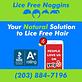 Lice Free Noggins Stamford - Natural Lice Removal Treatment in Cove-East Side - Stamford, CT Home Health Care Service