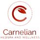 Carnelian Medspa and Wellness in Allen, TX Health & Medical