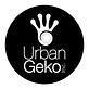 Urban Geko in Newport Beach, CA Web Site Design & Development