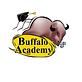 Buffalo Academy in Crossroads - Boulder, CO Tutoring Instructor