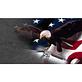 Eagle Gun Range in Farmers Branch, TX Miscellaneous Business Services