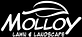 Molloy Lawn & Landscape in Randolph, MA Lawn & Garden Services