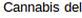 Pineapple Express, in Ware, MA Business Services