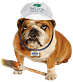 Sheldon & Sons Painting in Randallstown, MD Painting Contractors