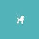 akc registered poodles California in Roosevelt - Fresno, CA Pet Grooming & Boarding Services