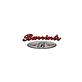 Burrini's & Sons Contracting in Randolph, NJ Pressure Washing & Restoration