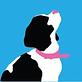 Windy City Paws in Chicago, IL Pet Grooming & Boarding Services