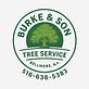 Burke & Son Tree Service in Bellmore, NY Tree & Shrub Transplanting & Removal