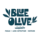 Blue Olive Pools in Rio Frio, TX Swimming Pools Contractors