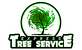 Express Tree Service in Brooklyn-Curtis Bay - Baltimore, MD Landscape Contractors & Designers