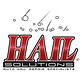 Hail Solutions Paintless Dent Repair in Olathe, KS Auto Body Repair