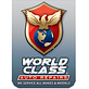 World Class Auto Repairs in Boca Raton, FL General Automotive Repair