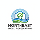 Northeast Mold Remediation in Clifton Heights, PA Plastic Mold Manufacturers