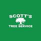 Scott's Tree Service in Lafayette, LA Tree & Shrub Transplanting & Removal