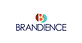 Brandience in Central Business District - Cincinnati, OH Advertising Agencies