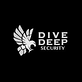 Dive Deep Security in Valrico, FL Security Consultants