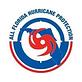 All Florida Hurricane Protection in Miami, FL Window Installation
