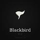 Blackbird SEO in Park Slope - Brooklyn, NY Business Services