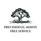 Precision El Monte Tree Service in El Monte, CA Tree & Shrub Transplanting & Removal
