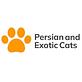 persian kittens for sale springfield mi in Springfield, MI Pet Supplies