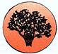Great Scott Tree Service in Norfolk, VA Tree & Shrub Transplanting & Removal