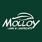Molloy Lawn & Landscape in Randolph, MA Lawn Maintenance Services