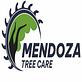 Mendoza Tree Care Services in Omaha, NE Tree & Shrub Transplanting & Removal