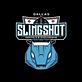 Dallas Slingshot Rental in North - Arlington, TX Automobile Rental & Leasing