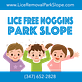Lice Free Noggins Park Slope in Park Slope - Brooklyn, NY Home Health Care Service
