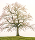 Three Points Financial Coaching in Elgin, TX Financial Services