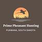 Prime Pheasant Hunting in Pukwana, SD Hunting - Guides & Outfitters