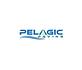 Pelagic Paving in East End - Houston, TX Paving Contractors & Construction