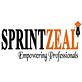 Sprintzeal Americas in Washington, DC Business Services