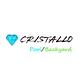 Cristallo Pool/Backyard Concepts in Jupiter, FL Swimming Pools Contractors
