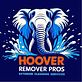 Hoover Remover Pros in Middleton, ID Floor Care & Cleaning Service