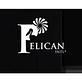 Pelican Int'l in Clearwater, FL