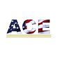 American Custom Exteriors in Summerville, SC Roofing Repair Service