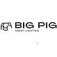 Big Pig Smart Lighting in Whitney Ranch - Henderson, NV Business Services