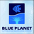Blue Planet Aquarium Services posted Establish a low-maintenance aquarium