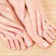 American Nails in West Chester, PA Manicurists & Pedicurists