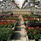 Ornamental Greenhouses in Independence, MO 64058