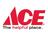 Rylee's Ace Hardware - Walker in Walker, MI