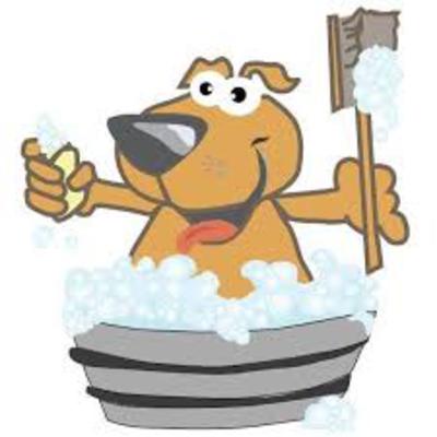A Dog's Best Friend in Reynoldsburg, OH Animal Training