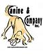Canine & in Depew, NY Pet Care Services