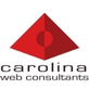 Carolina Web Consultants, in Raleigh, NC Internet Home Page Development & Consulting