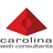 Carolina Web Consultants, in Raleigh, NC